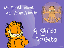 Screensaver - Garfield's Guide to Cats