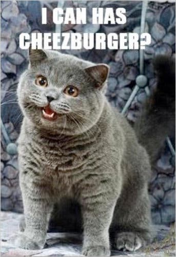 I Can Has Cheezburger Cat Meme